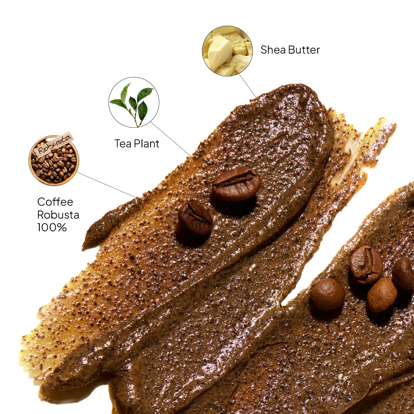 Robusta Coffee Body Scrub (10.6 oz)