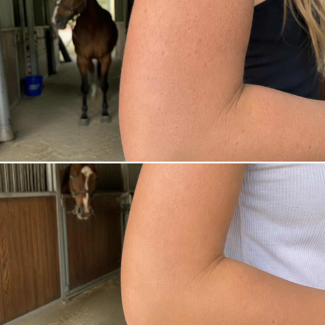 The comparison of an equestrian's elbow and arm area before and after use CoBa's Daughter Coffee Exfoliator in 6 weeks. Setting in a horse barn.