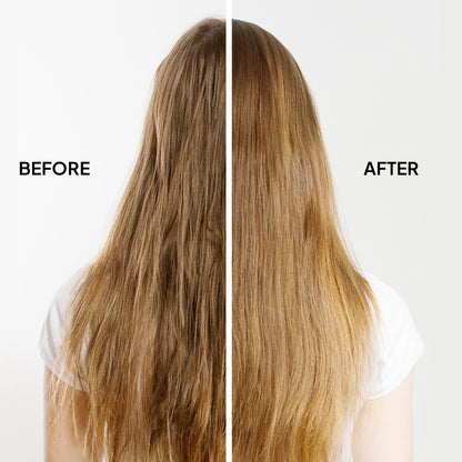 Heat Protectant & Frizz Control Oil (1.69 oz)