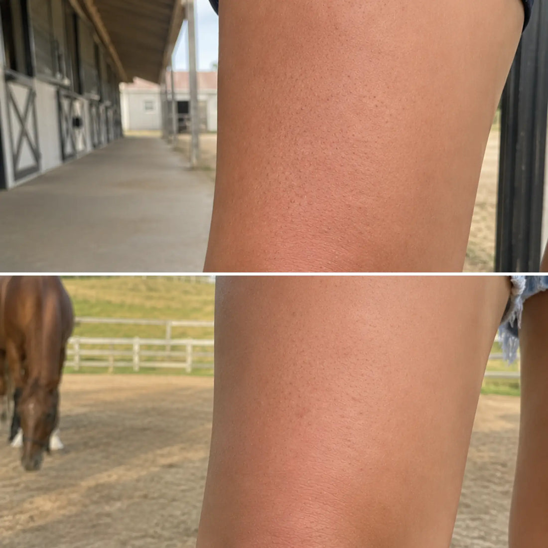 The comparison of an equestrian's knee & leg area before and after use CoBa's Daughter Coffee Exfoliator in 6 weeks. Setting in a horse ranch.