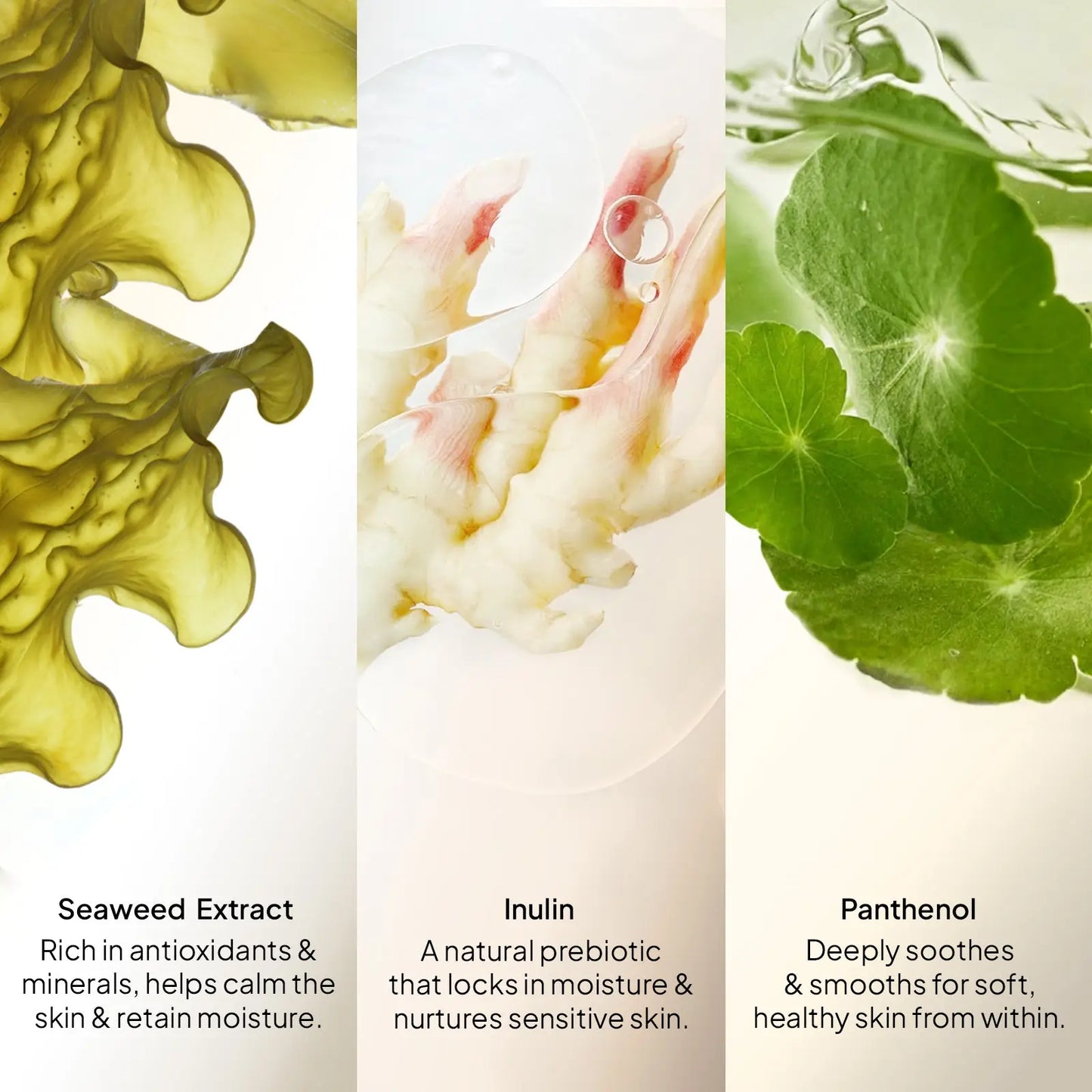 CoBa's Daughter 3in1 Body Wash key ingredients - Seaweed Extract, Inulin, and Panthenol for antioxidants, moisture, and soothing benefits