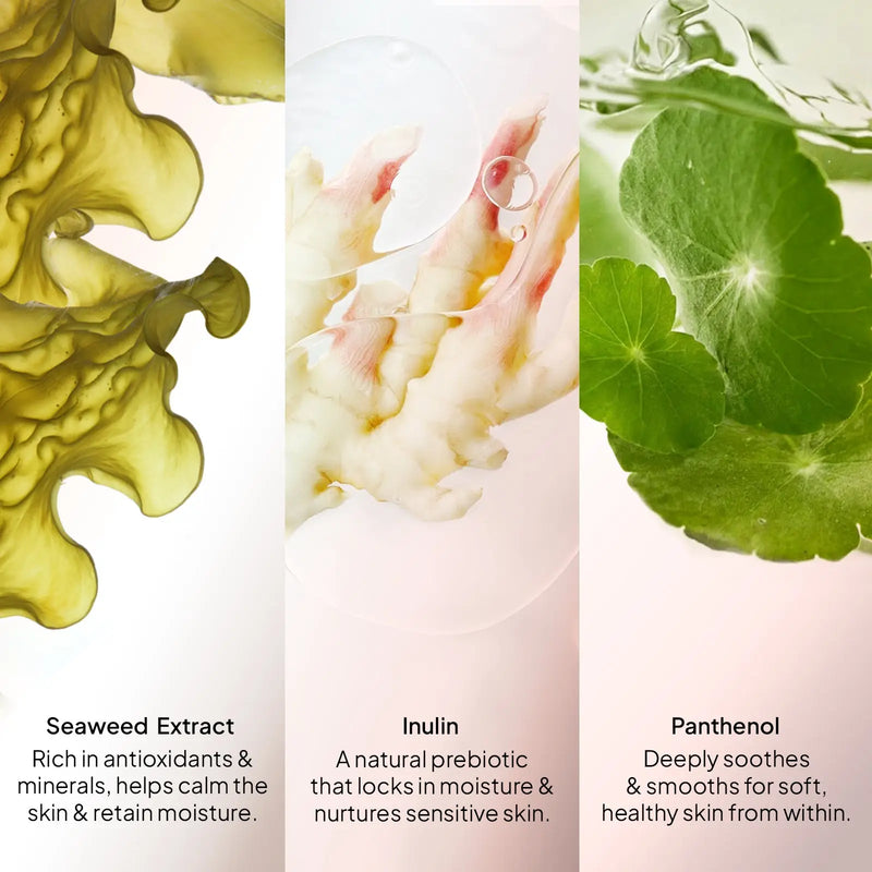 CoBa's Daughter 3in1 Body Wash key ingredients - Seaweed Extract, Inulin, and Panthenol for antioxidants, moisture, and soothing benefits