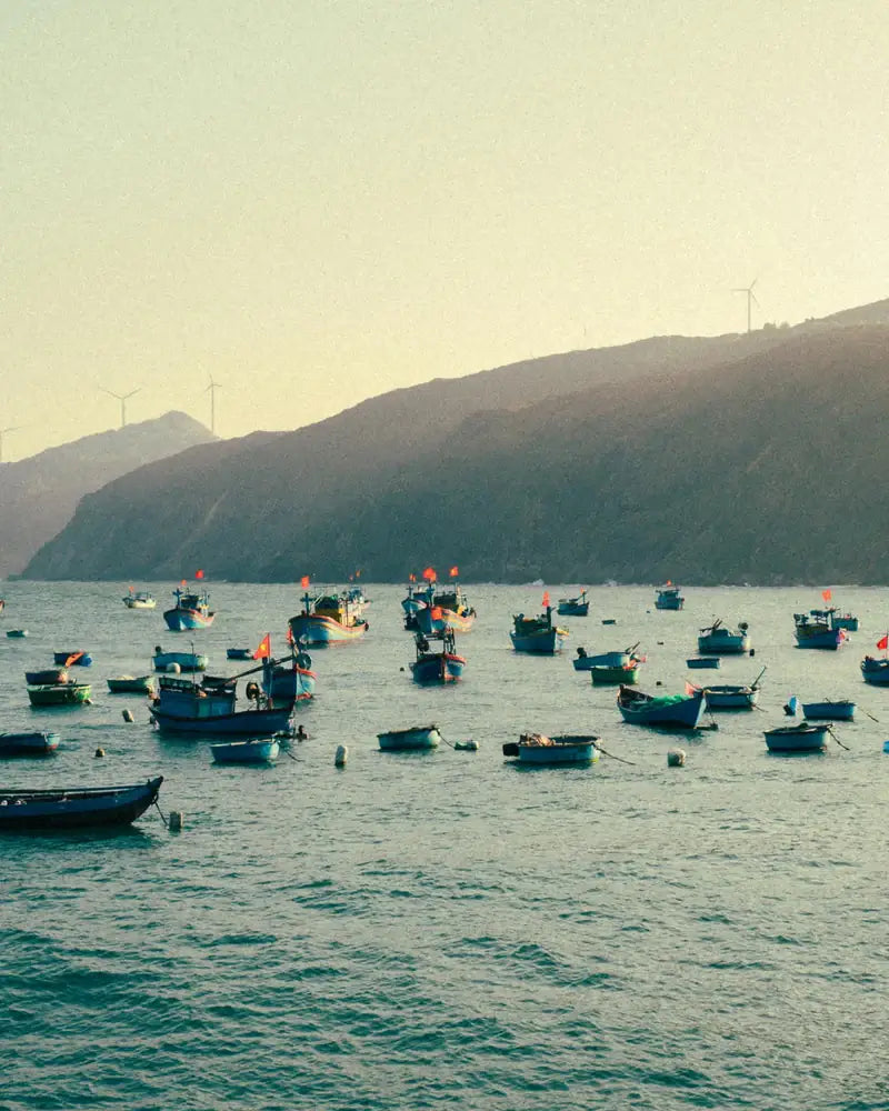Vietnamese fishing boats in coastal harbor with mountains and wind turbines — reflecting CoBa's Daughter heritage inspiration